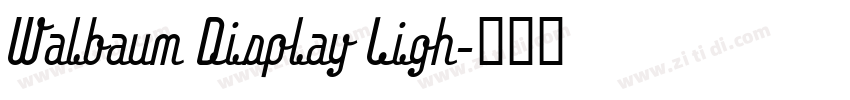 Walbaum Display Ligh字体转换